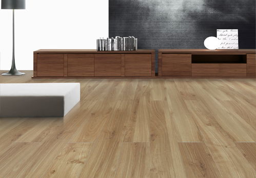 欧典地板小课堂 | 一本检索好地板的“新华字典”